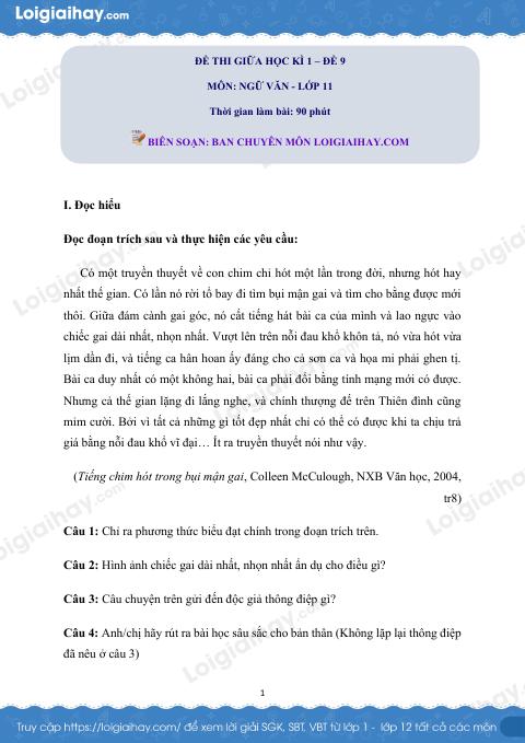 Đề kiểm tra giữa học kì I Ngữ văn 11 - Đề số 9 có lời giải chi tiết